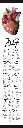 CAL-27-cam LIL.webp