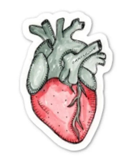 [I5-STICKERS]  STICKER CAMCAMILLE COEUR FRAISE