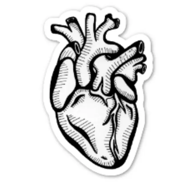 [I5-STICKERS]  STICKER CAMCAMILLE COEUR NOIR