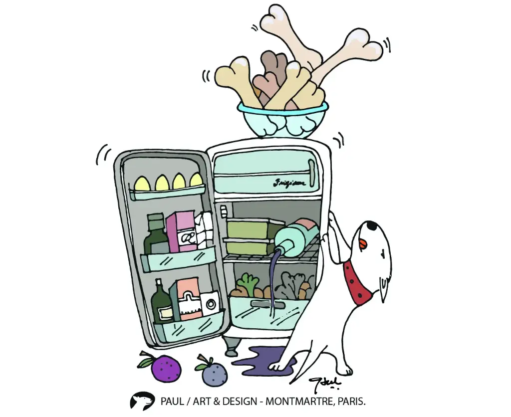 [I5-STICKERS]  STICKER CORA FRIDGE