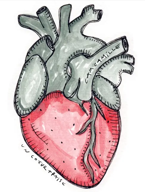 [D1-BADGE] COEUR FRAISE CAMCAMILLE  / Badge 