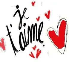 JE TAIME / mug acier inoxydable